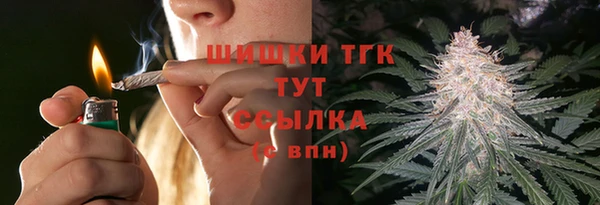 ПСИЛОЦИБИНОВЫЕ ГРИБЫ Алексин