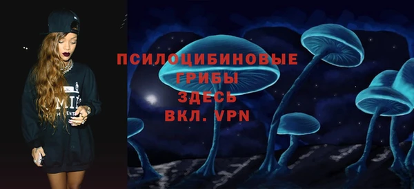 ПСИЛОЦИБИНОВЫЕ ГРИБЫ Алексин