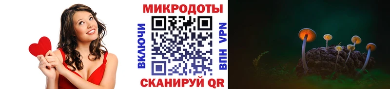 Псилоцибиновые грибы Cubensis  купить   Бодайбо 